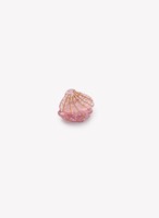 Haarklem Schelpje glitter roze-2